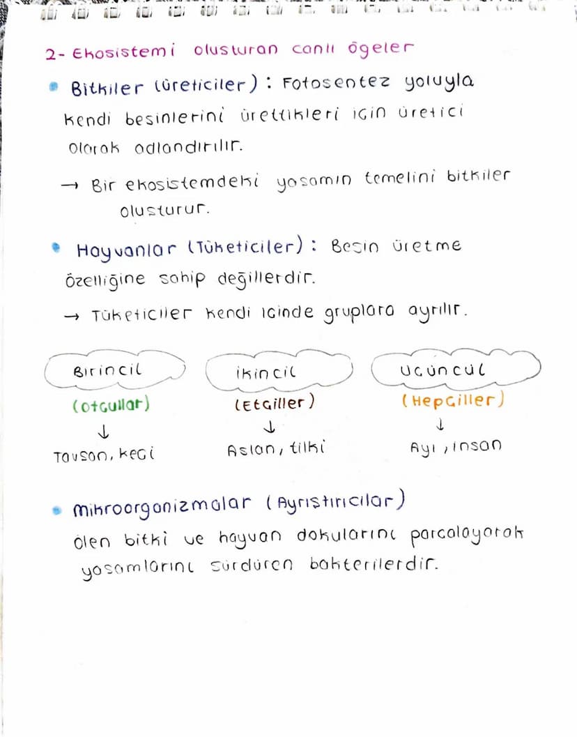 Ekosistem Nedir?
Canlılar ve canlıların içinde bulunduğu
fiziksel Geuredir.
→ Ekosistem cesitli büyüklüklerde olabilir.
-> Büyüklükleri fark