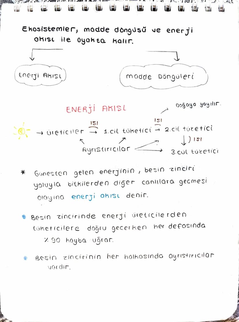 Ekosistem Nedir?
Canlılar ve canlıların içinde bulunduğu
fiziksel Geuredir.
→ Ekosistem cesitli büyüklüklerde olabilir.
-> Büyüklükleri fark