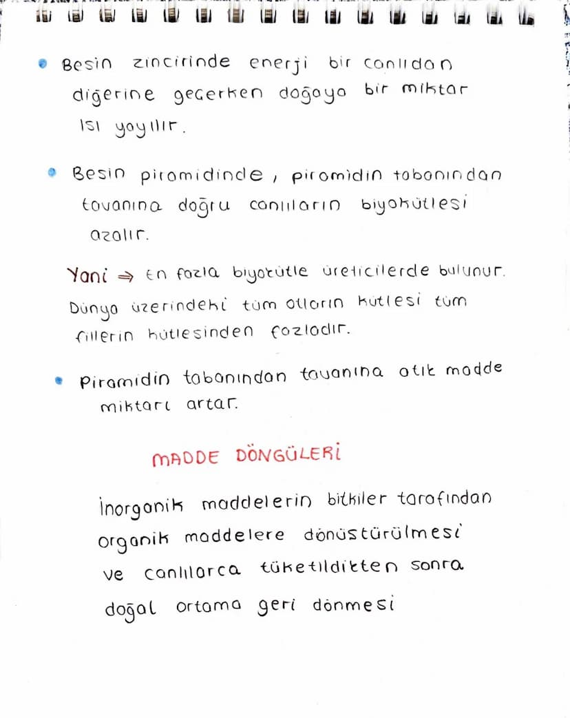 Ekosistem Nedir?
Canlılar ve canlıların içinde bulunduğu
fiziksel Geuredir.
→ Ekosistem cesitli büyüklüklerde olabilir.
-> Büyüklükleri fark