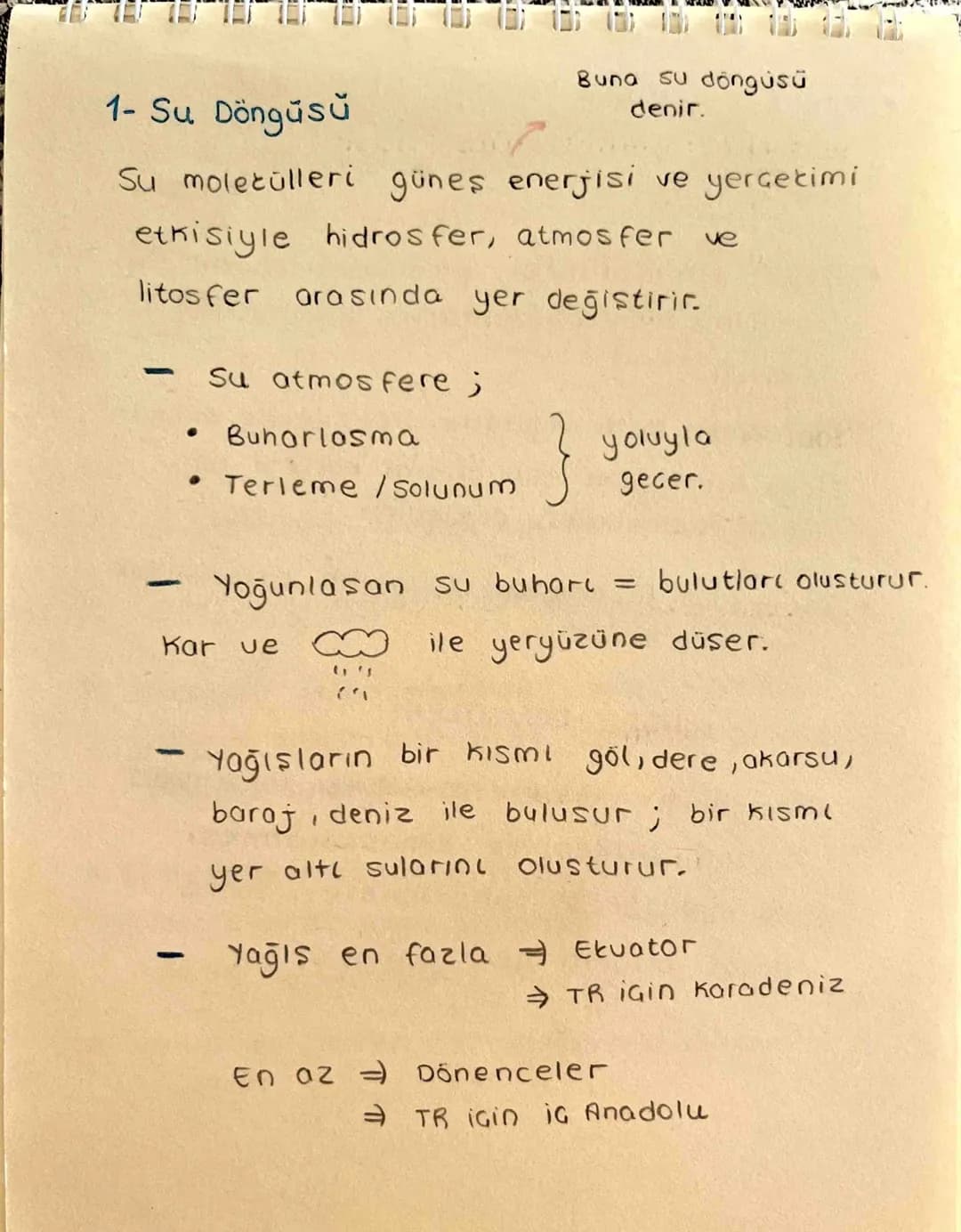 Ekosistem Nedir?
Canlılar ve canlıların içinde bulunduğu
fiziksel Geuredir.
→ Ekosistem cesitli büyüklüklerde olabilir.
-> Büyüklükleri fark