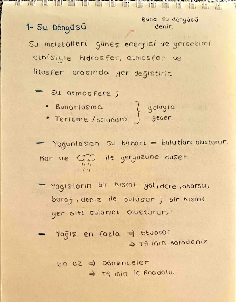 Ekosistem Nedir?
Canlılar ve canlıların içinde bulunduğu
fiziksel Geuredir.
→ Ekosistem cesitli büyüklüklerde olabilir.
-> Büyüklükleri fark