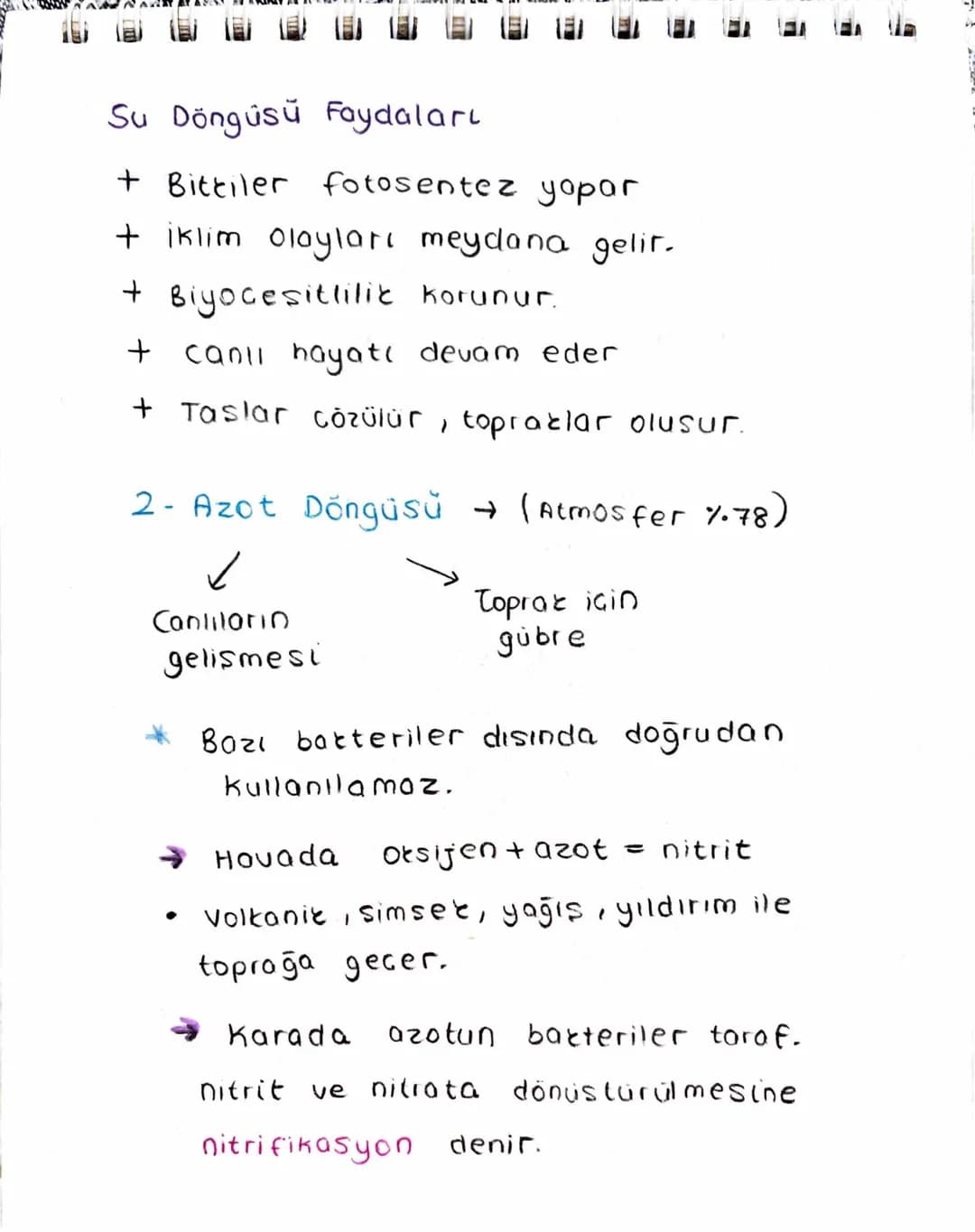 Ekosistem Nedir?
Canlılar ve canlıların içinde bulunduğu
fiziksel Geuredir.
→ Ekosistem cesitli büyüklüklerde olabilir.
-> Büyüklükleri fark