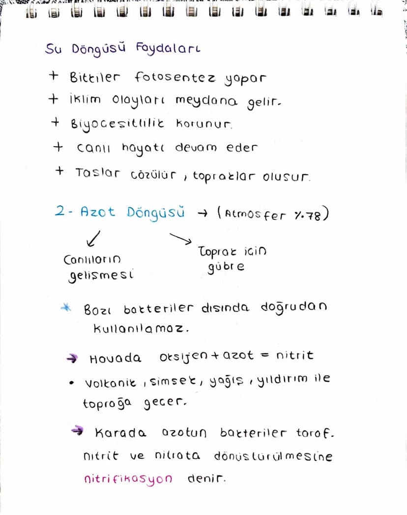 Ekosistem Nedir?
Canlılar ve canlıların içinde bulunduğu
fiziksel Geuredir.
→ Ekosistem cesitli büyüklüklerde olabilir.
-> Büyüklükleri fark