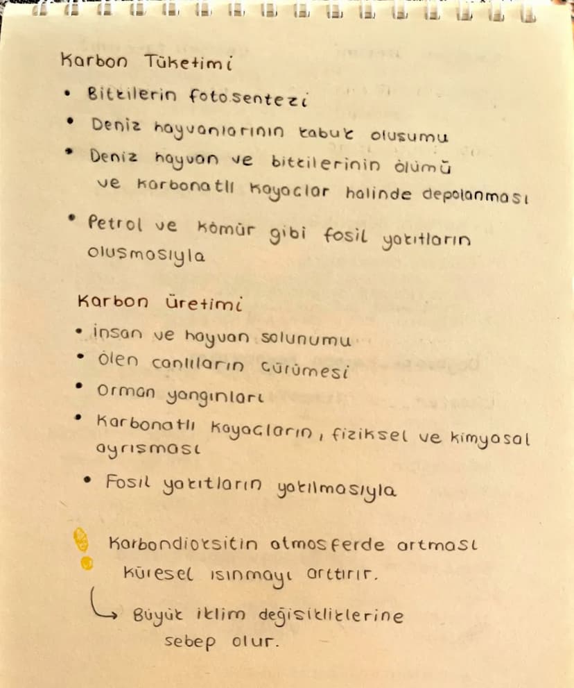 Ekosistem Nedir?
Canlılar ve canlıların içinde bulunduğu
fiziksel Geuredir.
→ Ekosistem cesitli büyüklüklerde olabilir.
-> Büyüklükleri fark