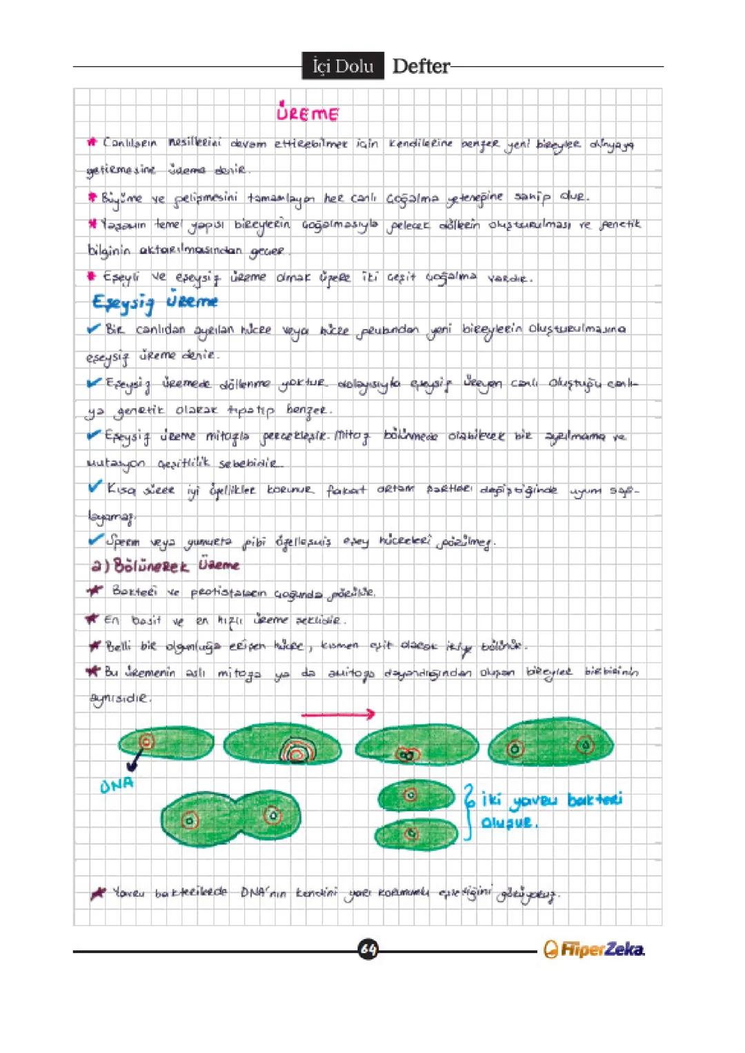 --- OCR Start ---
İçi Dolu Defter
UREME
* Canlıların nesillerini devam ettirebilmek için kendilerine benzer yeni bireyler dünyaya
getirmesin
