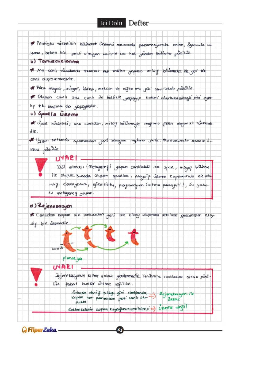 --- OCR Start ---
İçi Dolu Defter
UREME
* Canlıların nesillerini devam ettirebilmek için kendilerine benzer yeni bireyler dünyaya
getirmesin