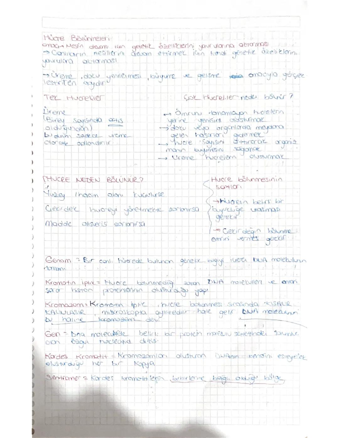 10.sinif biyoloji 1.unite konu anlatimi ozeti