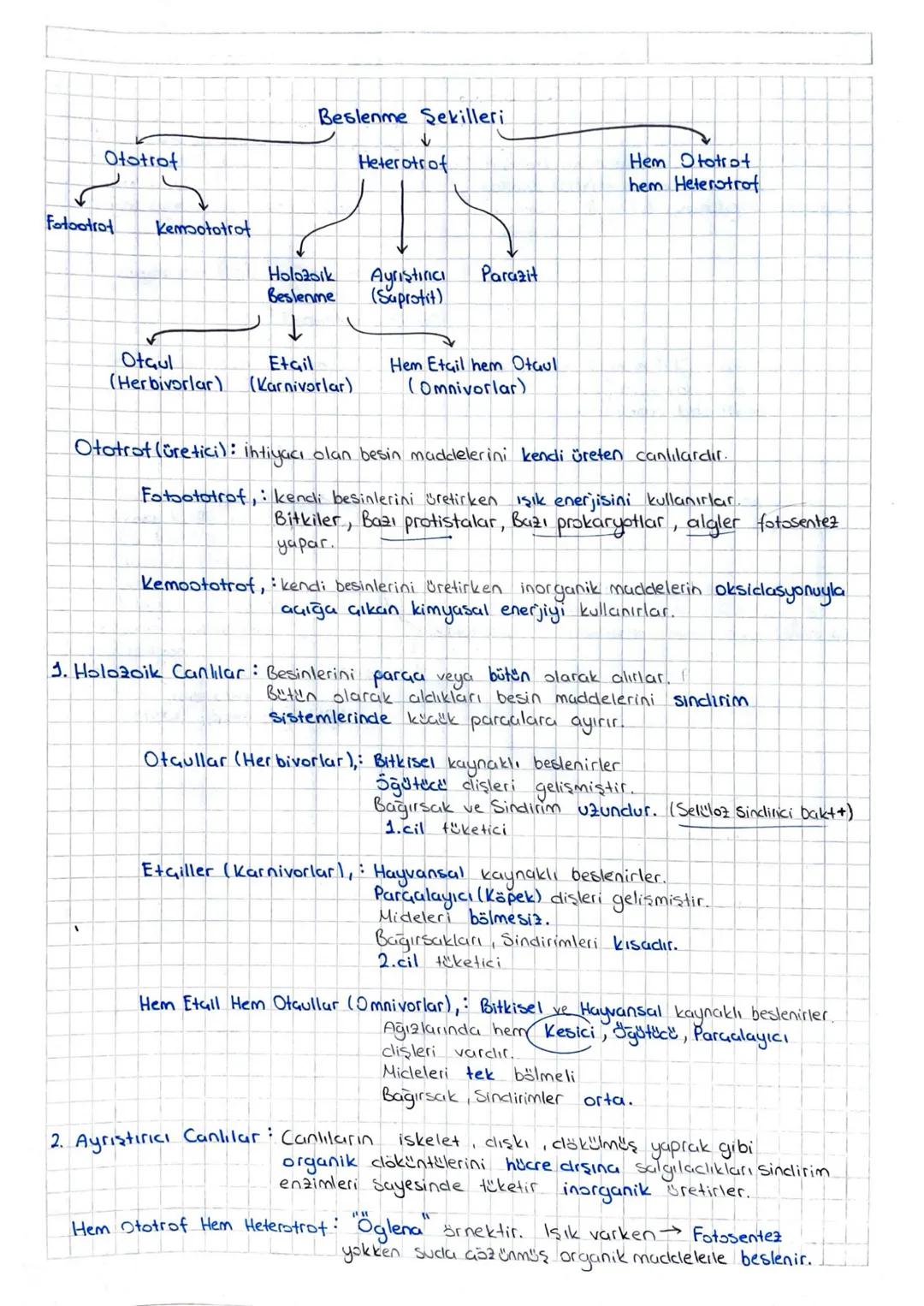 Tyt 10. Sınıf Biyoloji Beslenme Şekilleri