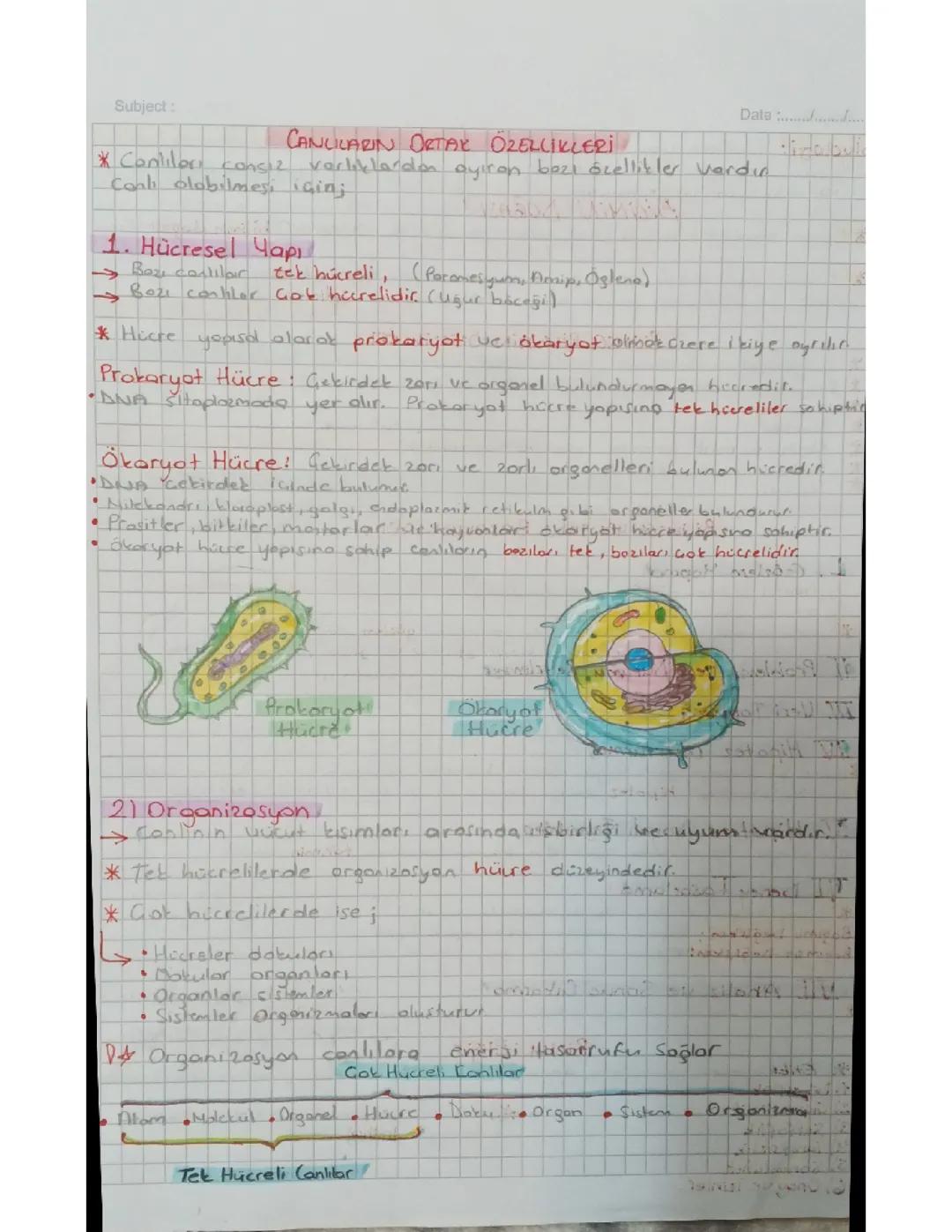 biyoloji canlıların ortak özellikleri