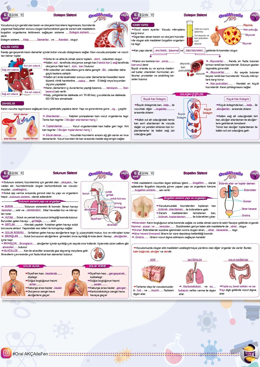 # 2025 BURSULUK
# FEN BİLİMLERİ

ORAL AKÇA'NIN NOTLARI İLE

# 6.
# SINIF

# SON
# TEKRAR



YAYINLARI 6. Lünite
1.ÜNİTE GÜNEŞ SİSTEMİ VE TUT