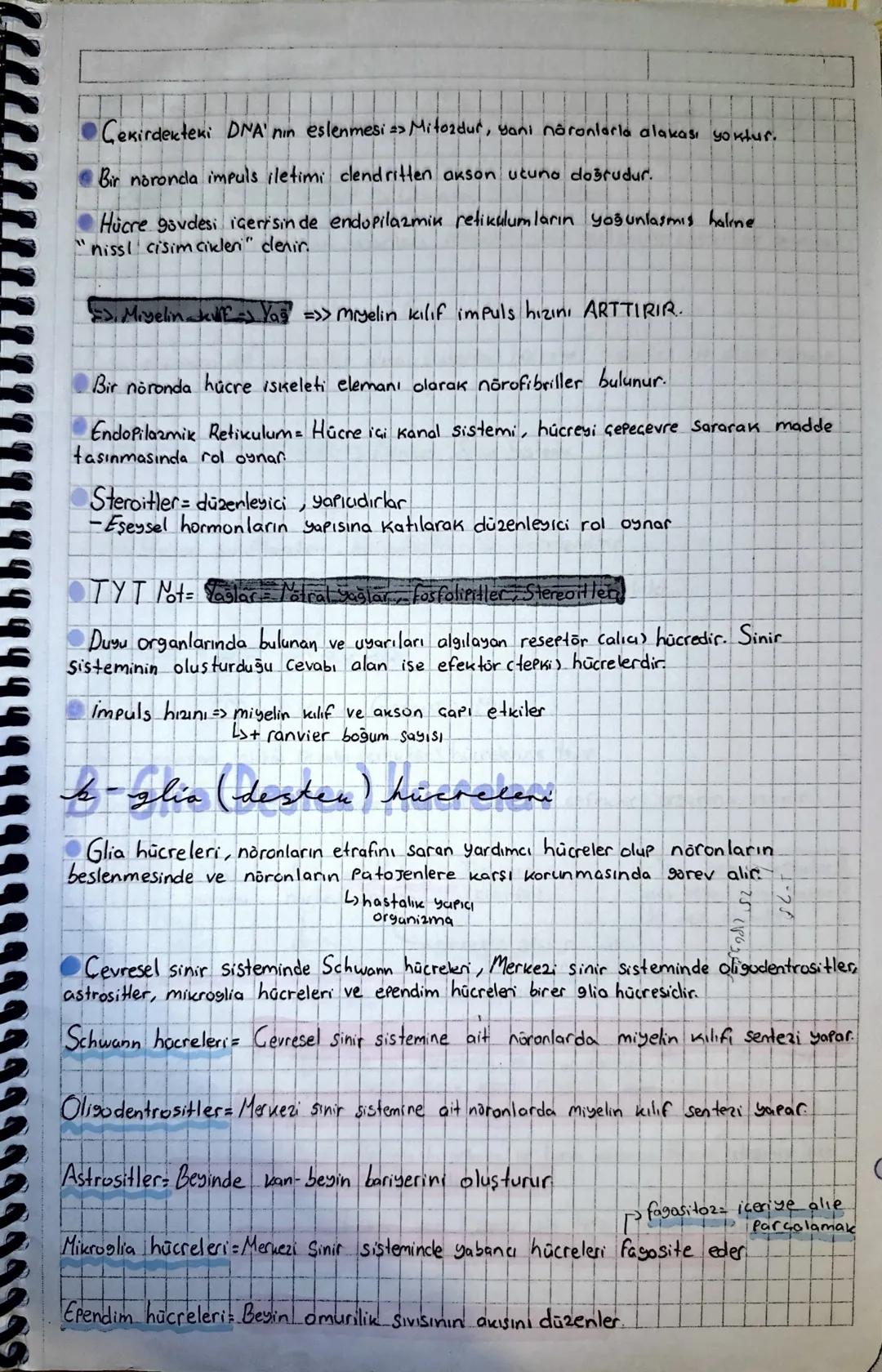 SINIR SISTEMI
تسعة
isleri
Bütün canlılar cevredeki uyarılara karşı tepki verir. Ancak bütün canlılarda
Sinir sistemi bulunmaz.
=>Bitkiler Ho