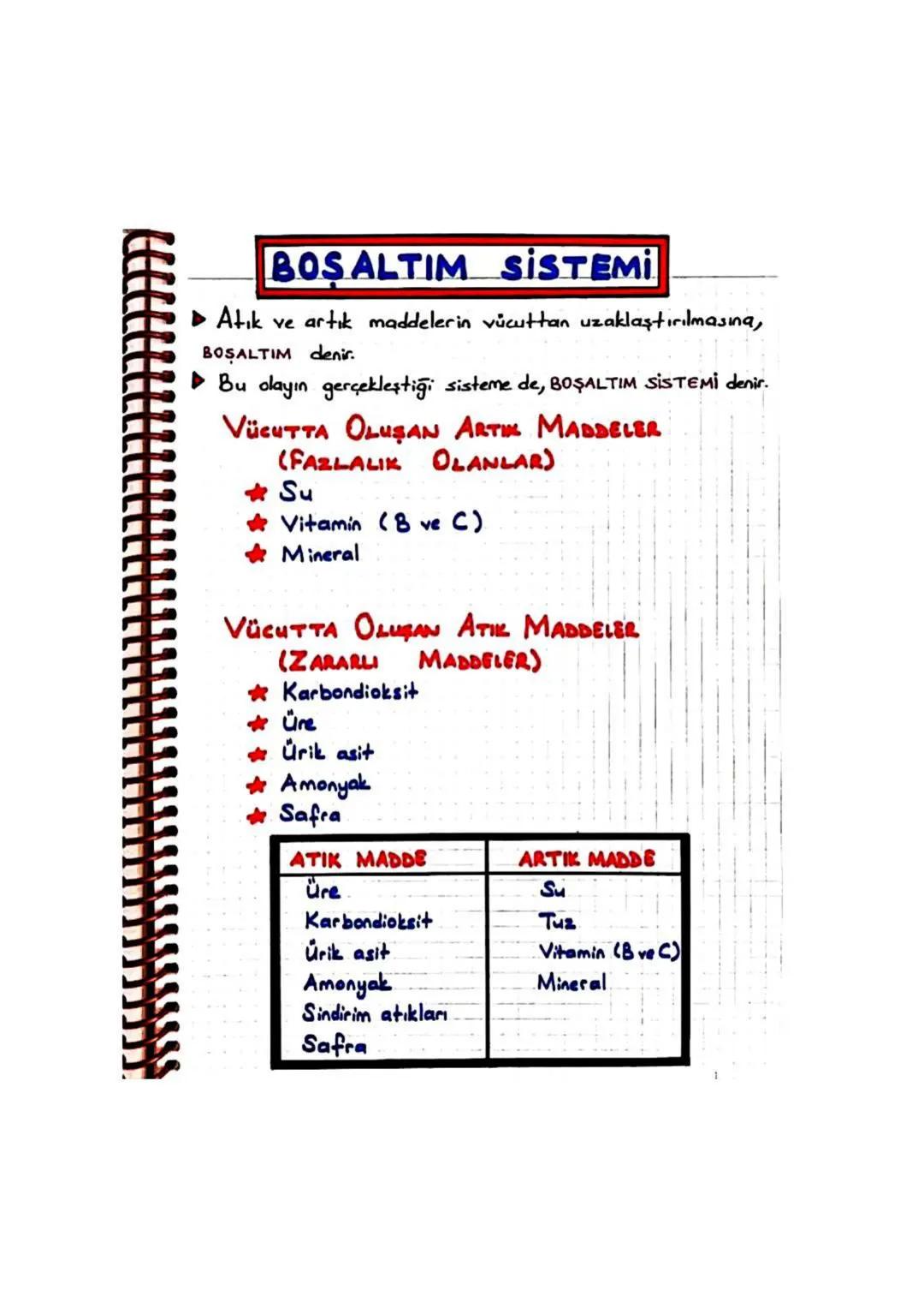 BOS ALTIM SİSTEMİ.
Atık ve artık maddelerin vücuttan uzaklaştırılmasına,
BOŞALTIM denir.
Bu olayın gerçekleştiği sisteme de, BOŞALTIM SİSTEM