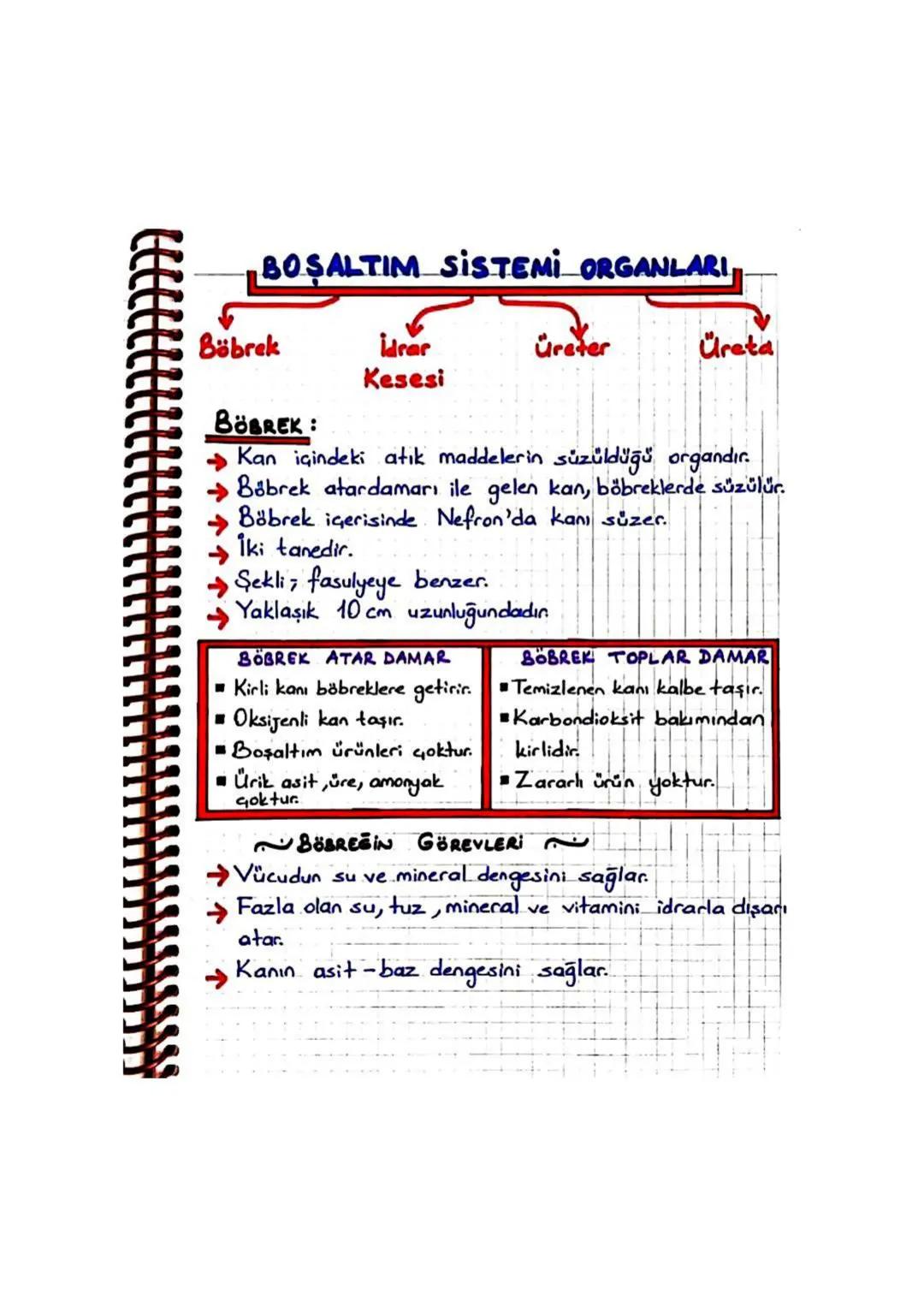 BOS ALTIM SİSTEMİ.
Atık ve artık maddelerin vücuttan uzaklaştırılmasına,
BOŞALTIM denir.
Bu olayın gerçekleştiği sisteme de, BOŞALTIM SİSTEM