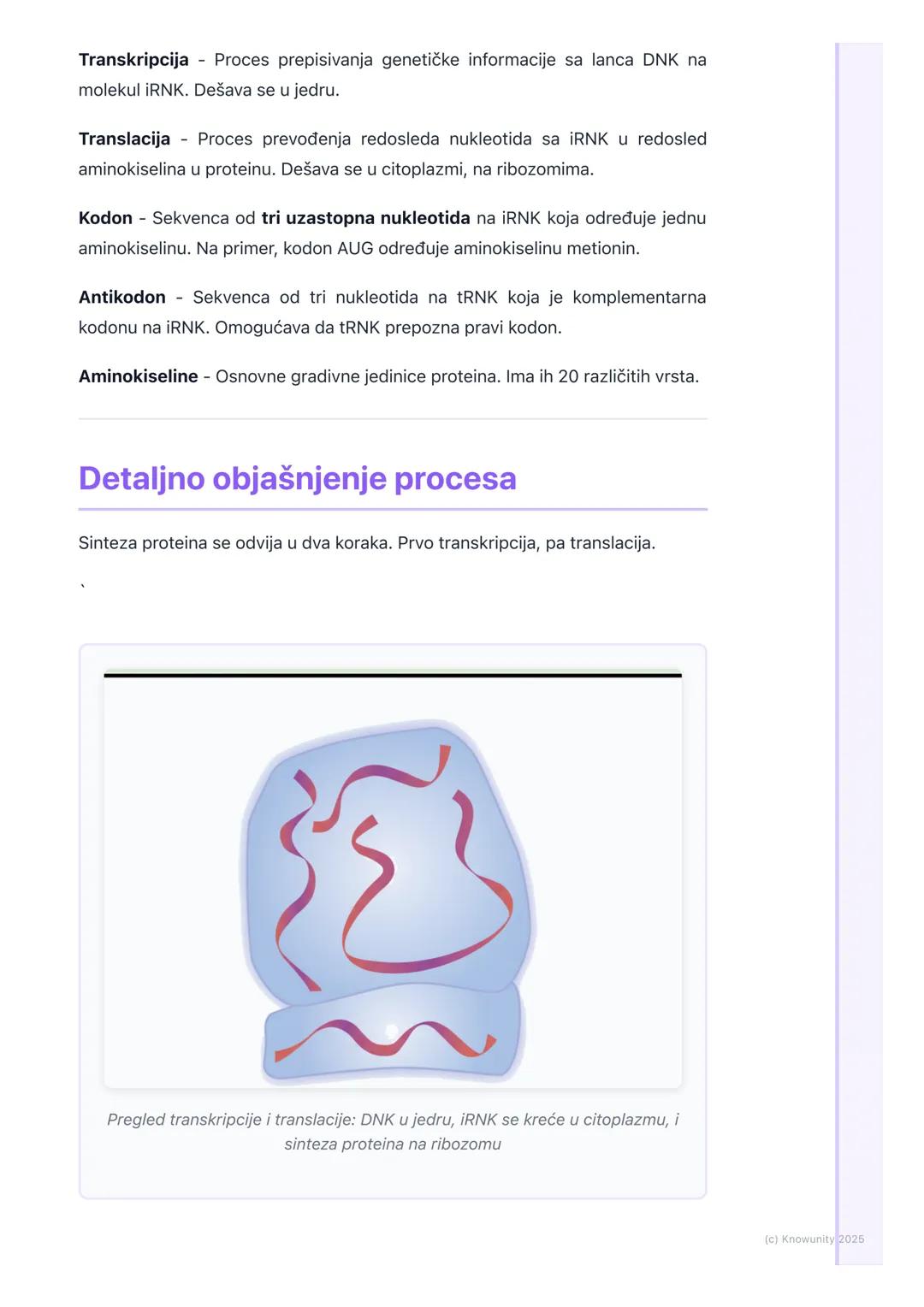 # Sinteza proteina
(Transkripcija i Translacija)

Uvod u sintezu proteina

Sinteza proteina je jedan od najvažnijih procesa u ćeliji. To je 