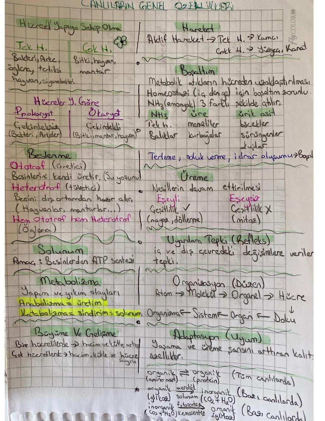 Canlıların ortak özellikleri 