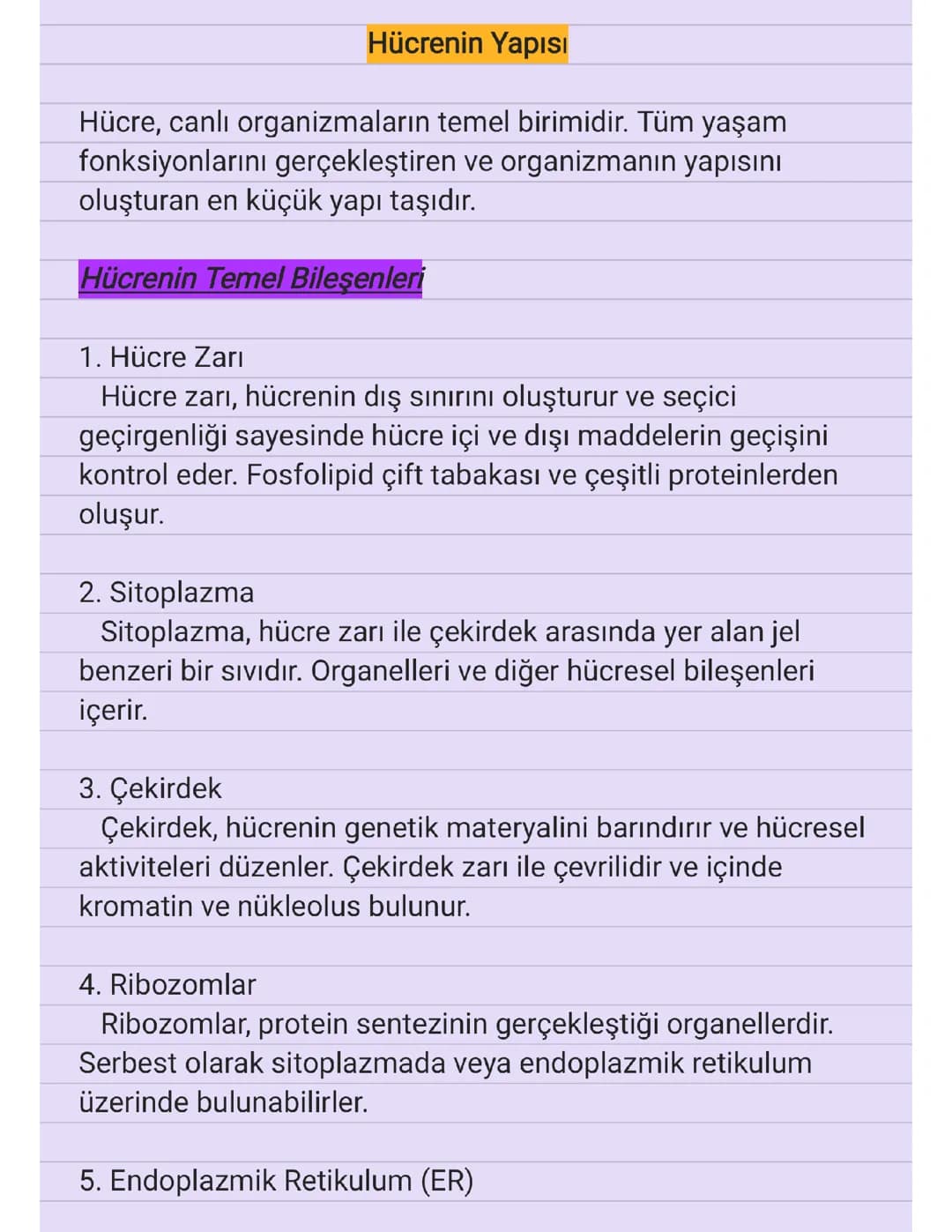 9.SINIF - HÜCRE YAPISI