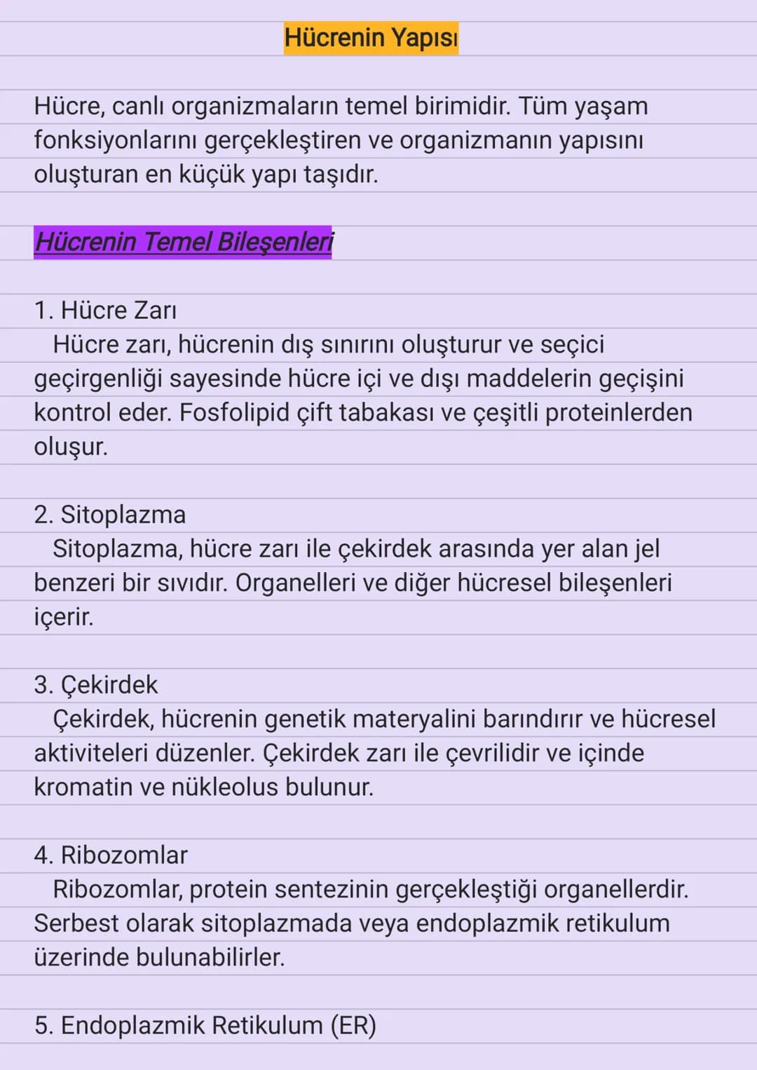 Hücrenin Yapısı
Hücre, canlı organizmaların temel birimidir. Tüm yaşam
fonksiyonlarını gerçekleştiren ve organizmanın yapısını
oluşturan en 
