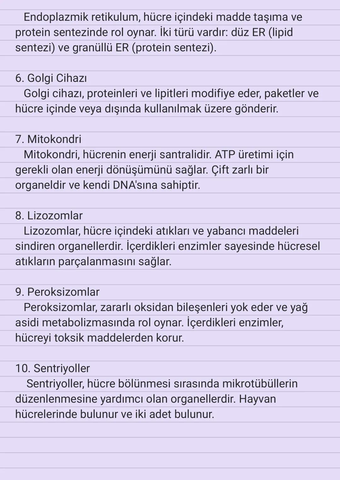 Hücrenin Yapısı
Hücre, canlı organizmaların temel birimidir. Tüm yaşam
fonksiyonlarını gerçekleştiren ve organizmanın yapısını
oluşturan en 