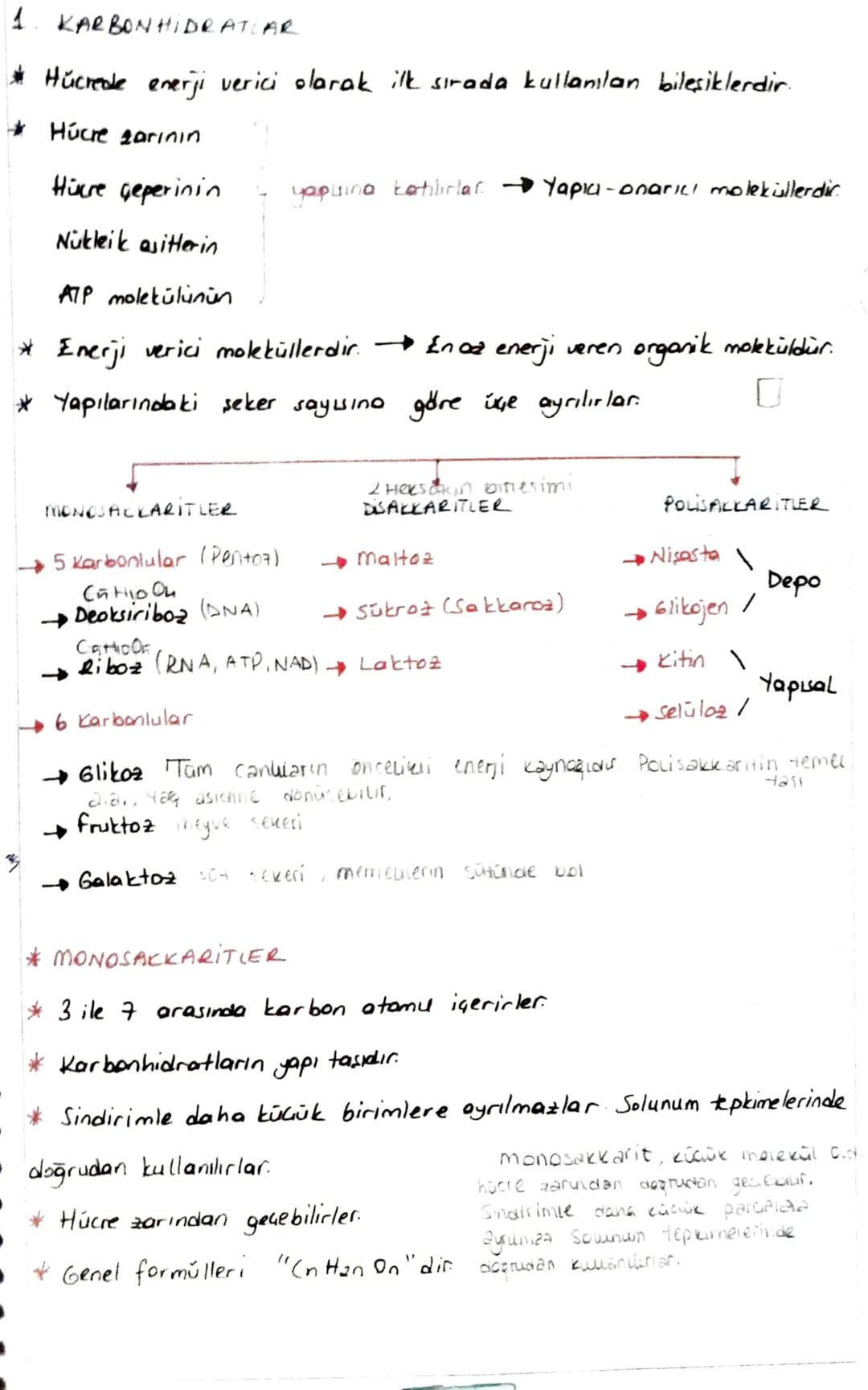 1. KARBONHİDRATLAR
* Húcreate enerji verici olarak ilk sırada kullanılan bileşiklerdir.
* Húcre zarının
Hücre Geperinin
yapuina katılırlar
Y