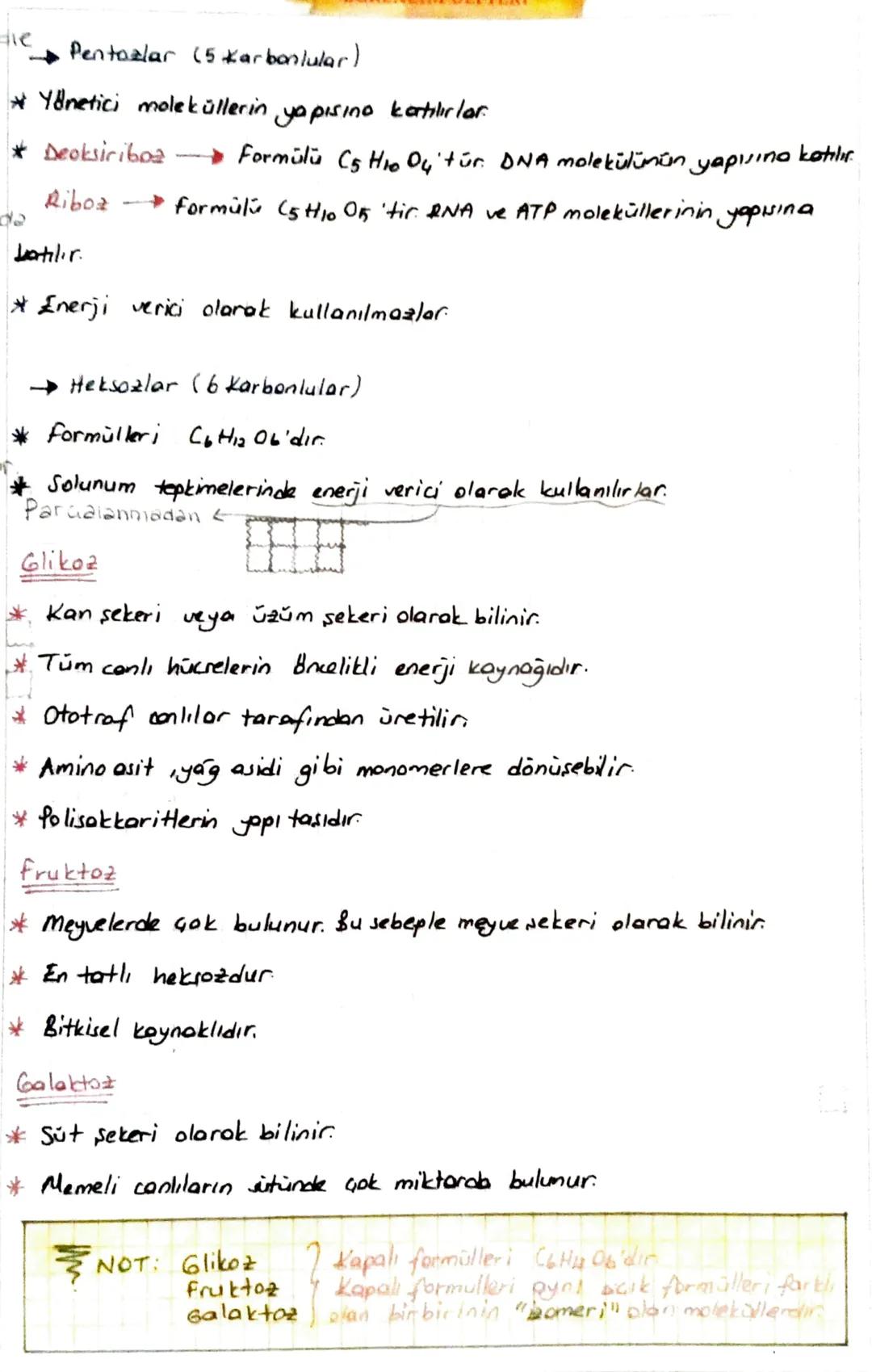 1. KARBONHİDRATLAR
* Húcreate enerji verici olarak ilk sırada kullanılan bileşiklerdir.
* Húcre zarının
Hücre Geperinin
yapuina katılırlar
Y