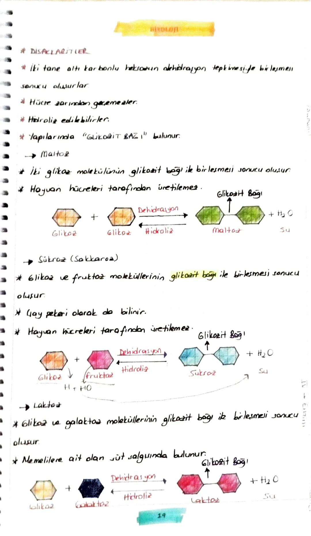 1. KARBONHİDRATLAR
* Húcreate enerji verici olarak ilk sırada kullanılan bileşiklerdir.
* Húcre zarının
Hücre Geperinin
yapuina katılırlar
Y