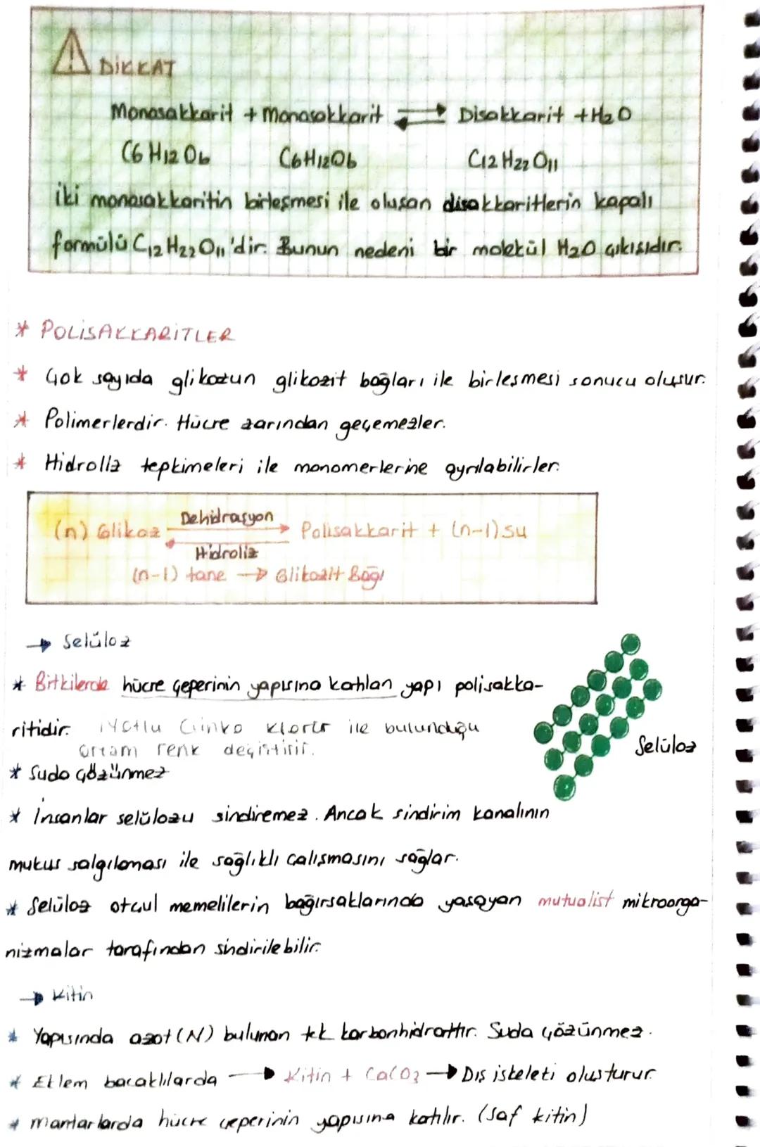 1. KARBONHİDRATLAR
* Húcreate enerji verici olarak ilk sırada kullanılan bileşiklerdir.
* Húcre zarının
Hücre Geperinin
yapuina katılırlar
Y