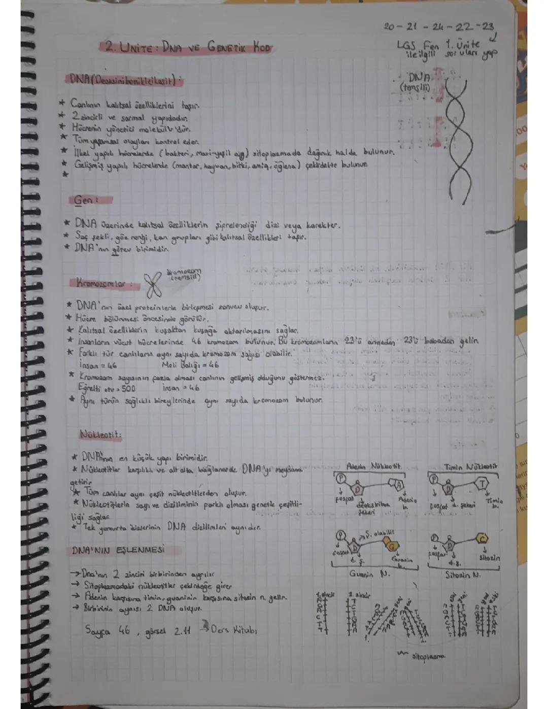 DNA ve Genetik Kod: 8. Sınıf Fen Bilimleri