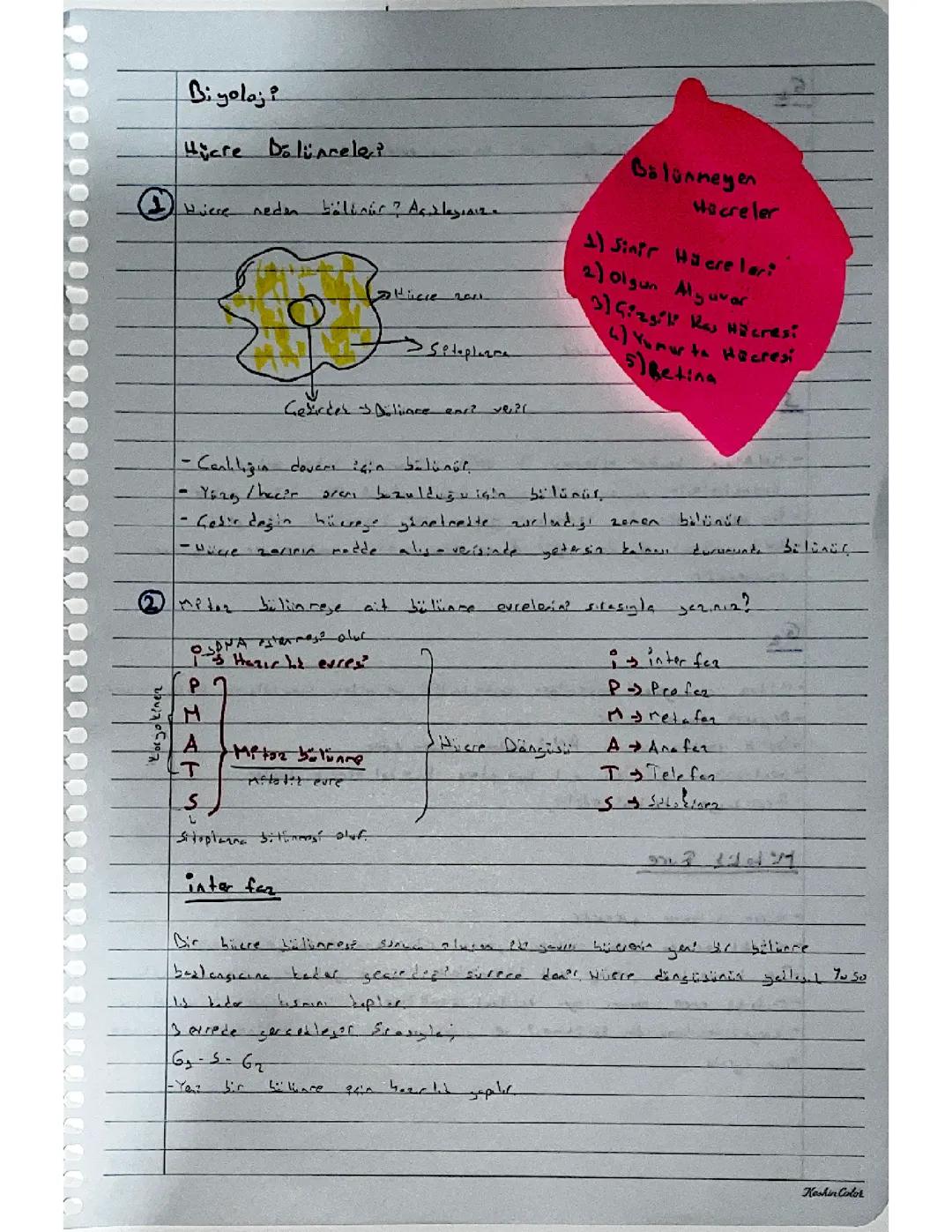 10. Sınıf Biyoloji