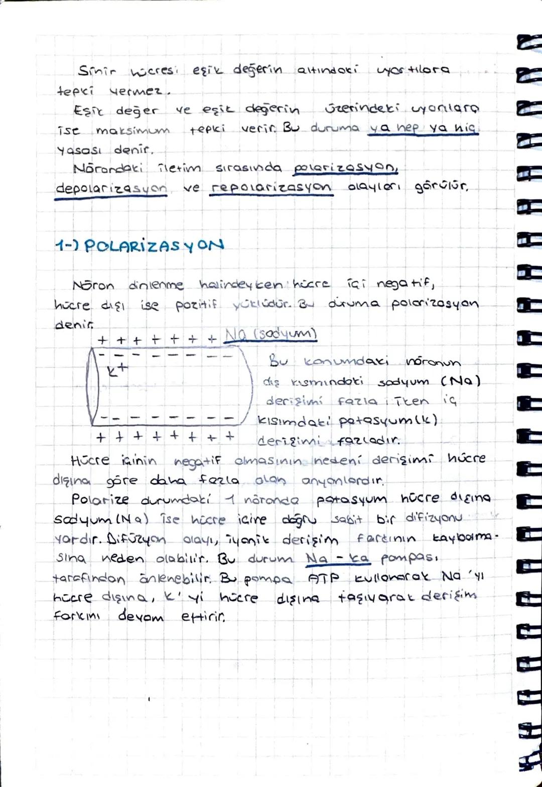 Sinir hücresi eşik değerin altındaki
tepxi vermez.
Eşik değer ve eşit değerin Üzerindeki yonlara
ise maksimum tepki verir. Bu duruma ya hep 