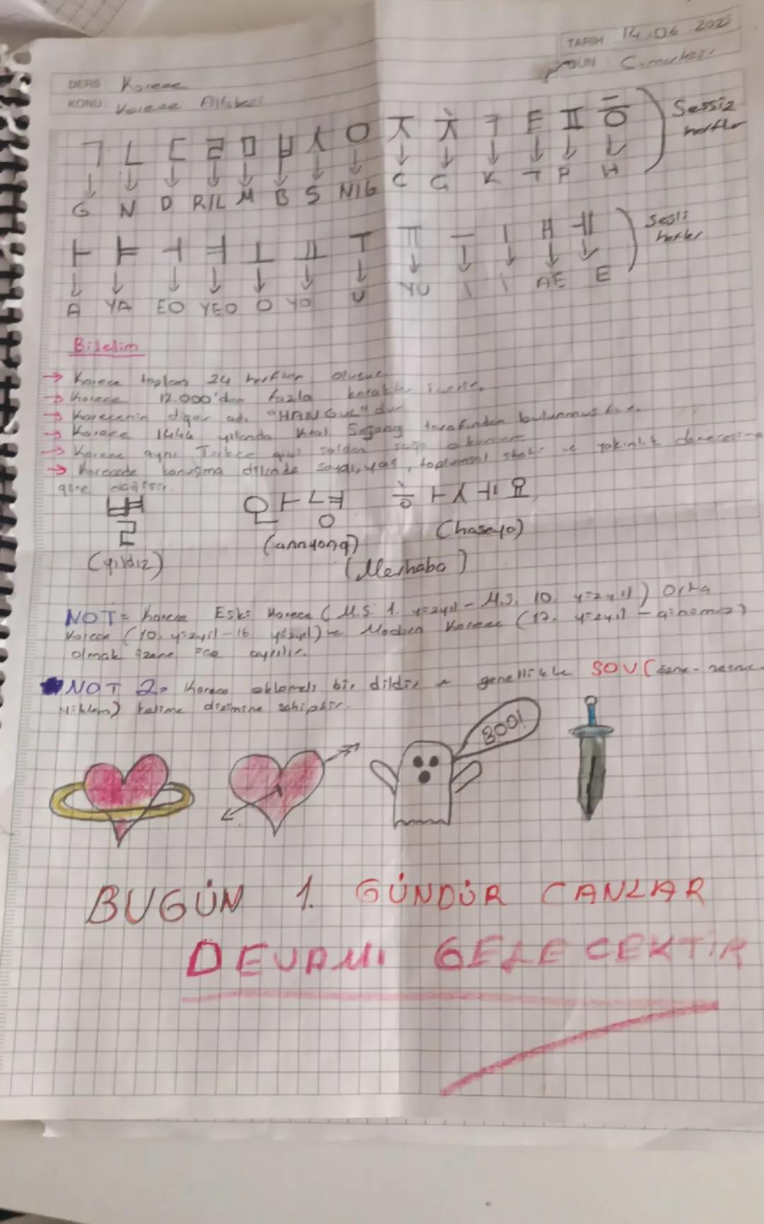 Korece Öğrenmeye Başlama Kılavuzu 🌟