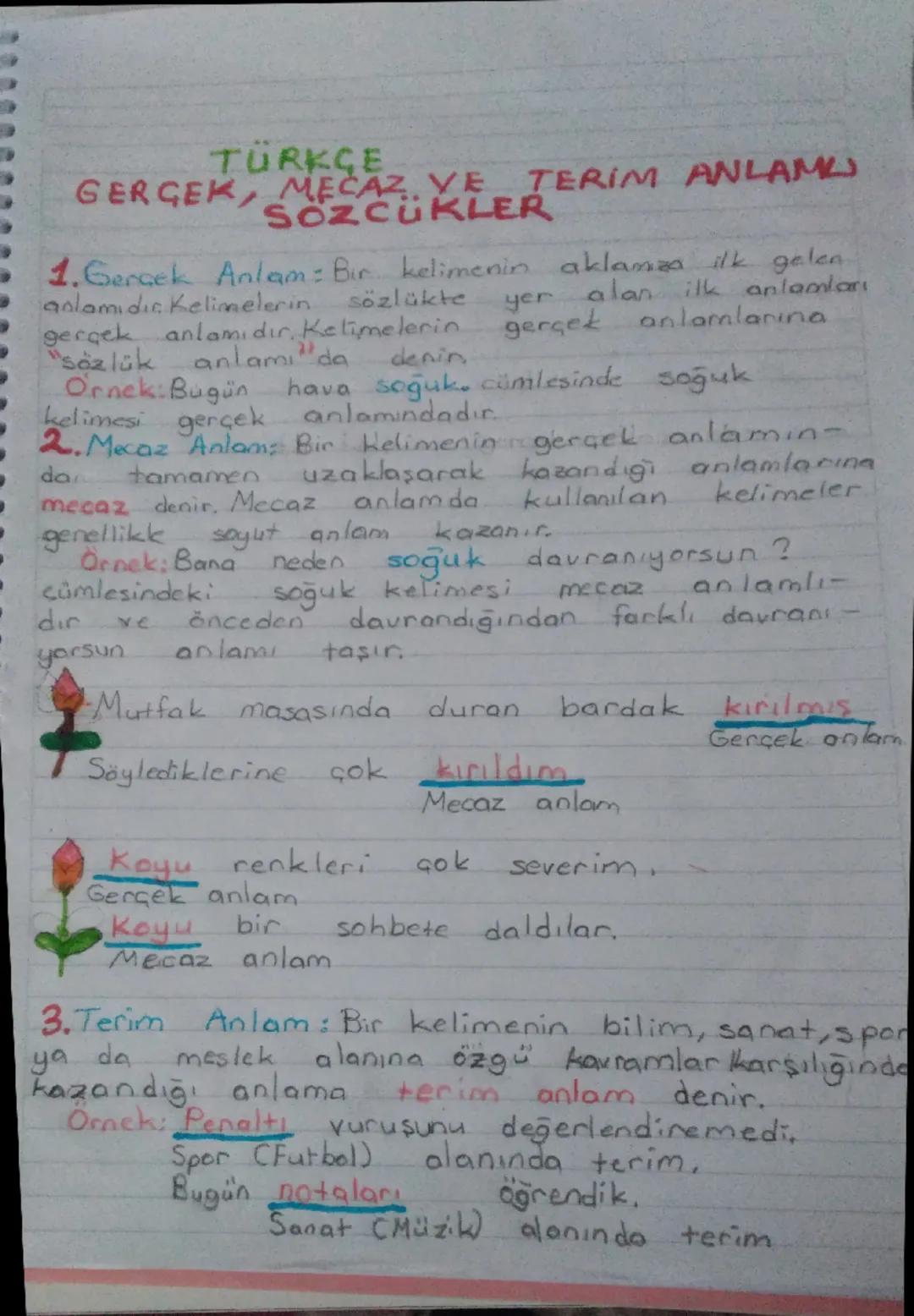 TÜRKÇE
GERGEK, MECAZ VE TERİM ANLAMU
SÖZCÜKLER
1. Gerçek Anlam: Bir kelimenin aklamıza ilk gelen
anlamıdır. Kelimelerin sözlükte yer alan il