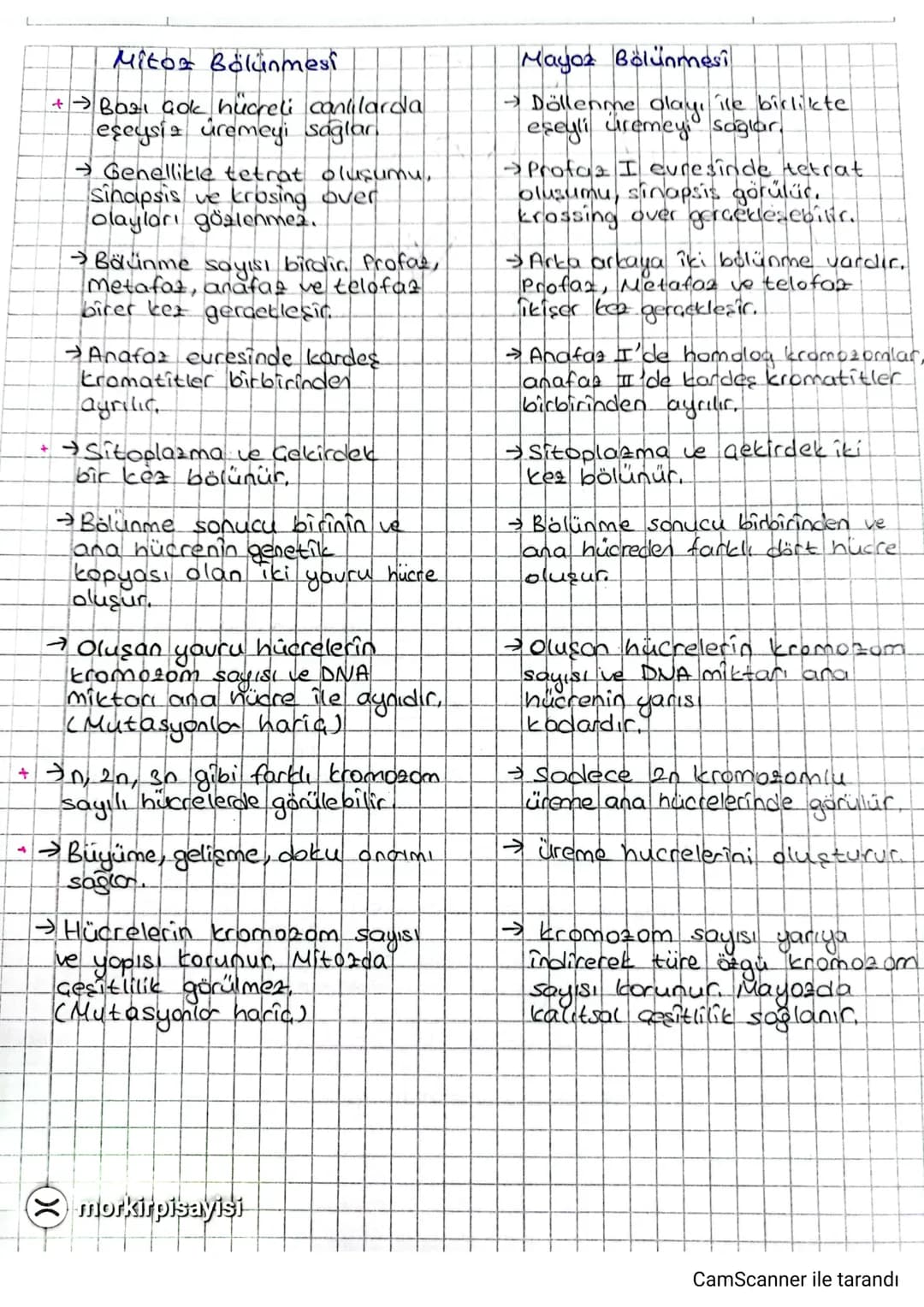 Mitoz Bölünmesi
+ → Bazı çok hucreli canlılarda
eşeysiz üremeyi sağlar.
→ Genellikle tetrat oluşumu,
sinapsis ve krosing over
olayları gözle