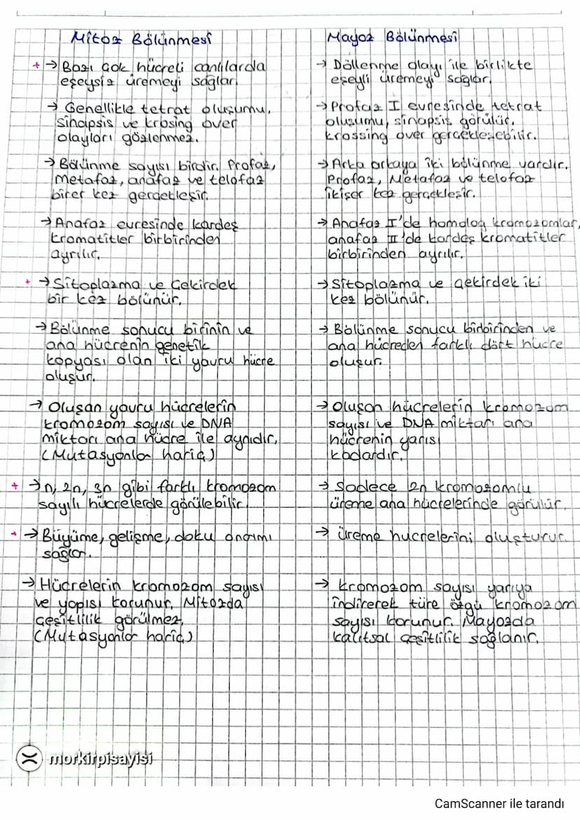 Mitoz Bölünmesi
+ → Bazı çok hucreli canlılarda
eşeysiz üremeyi sağlar.
→ Genellikle tetrat oluşumu,
sinapsis ve krosing over
olayları gözle