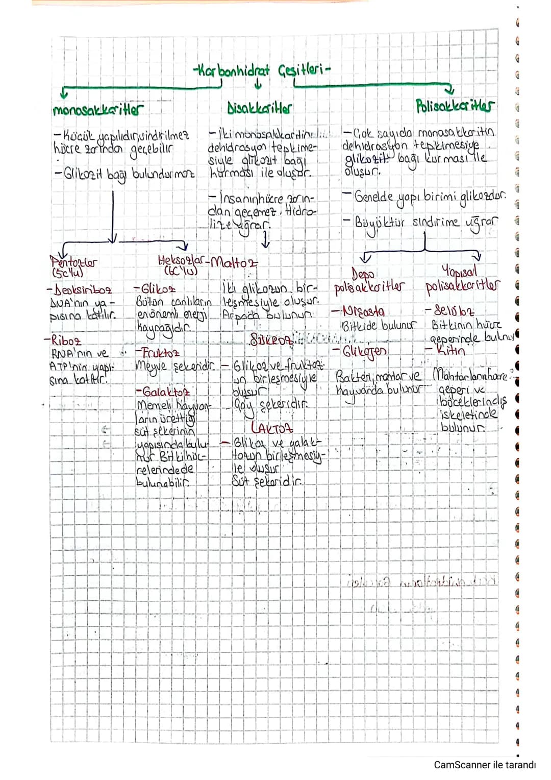 monosakkaritler
-Küçük yapılıdır, sindirilmez
hücre zorinda geçebilir
-Glikozit bağı bulundurmont
Pentonzler
(5clu)
-Karbonhidrat Çeşitleri-