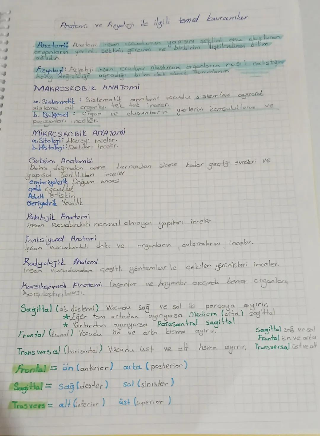 Anatomi ve Fizyoloji Ders Notları - Yeni Konular