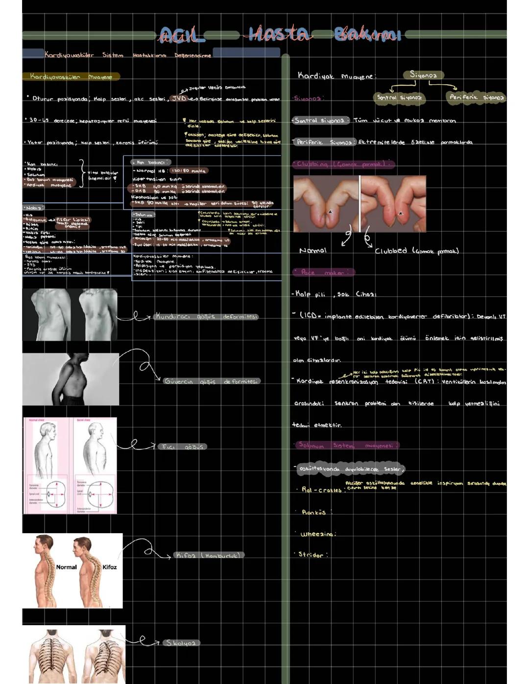 Kardiyovasküler Muayene PDF ve Santral Venöz Kateter Nedir