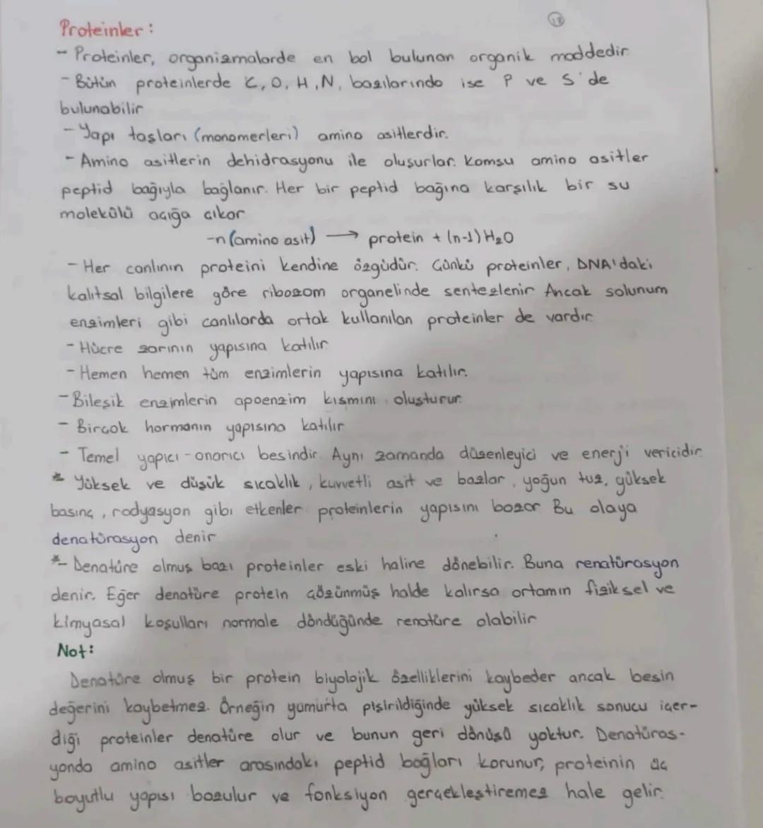 B
Doymuş Yağ Asitleri karbon atomları arasında tek bağ bulunan yağ
asitleridin
- Karbon atomlarının hepsi hidrojene doymustur. Doymuş yağ as