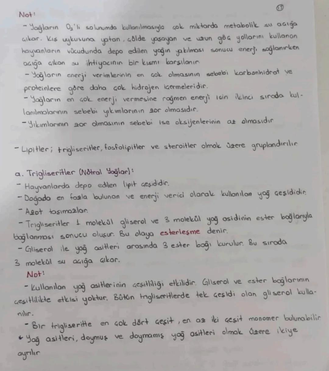 B
Doymuş Yağ Asitleri karbon atomları arasında tek bağ bulunan yağ
asitleridin
- Karbon atomlarının hepsi hidrojene doymustur. Doymuş yağ as