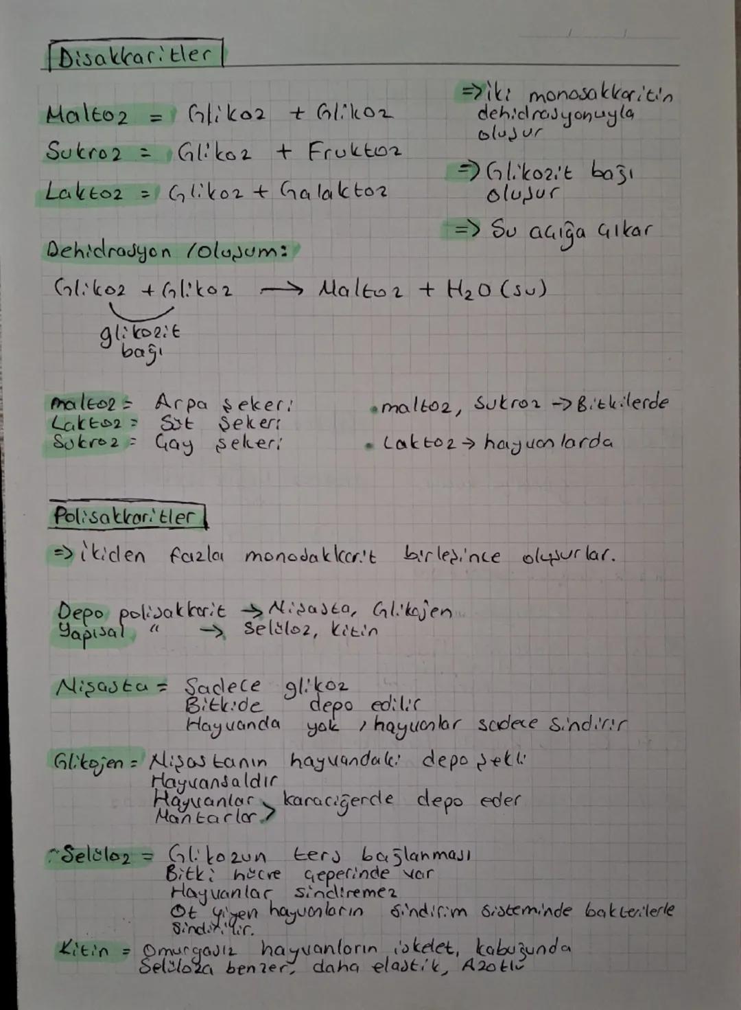 # Disakkaritler

Maltoz = Glikoz + Glikoz

Sukroz = Glikoz + Fruktoz

Laktoz = Glikoz + Galaktoz

=>iki monosakkaritin dehidrasyonuyla oluşu