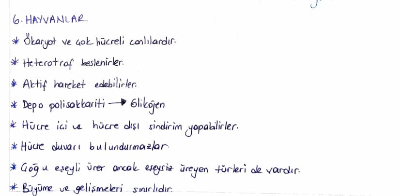 6. HAYVANLAR
* Ökaryot ve çok hücreli canlılardır.
*Heterotrof beslenirler.
Aktif hareket edebilirler.
* Depo polisakkariti
Glikojen
* Hücre
