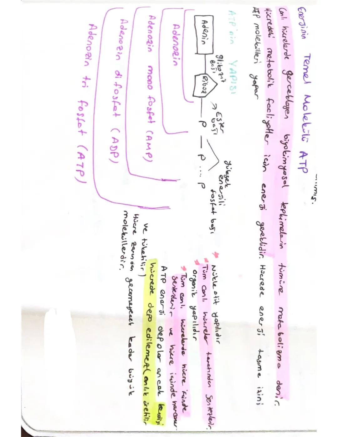 Enerjinin temel molekülü atp 