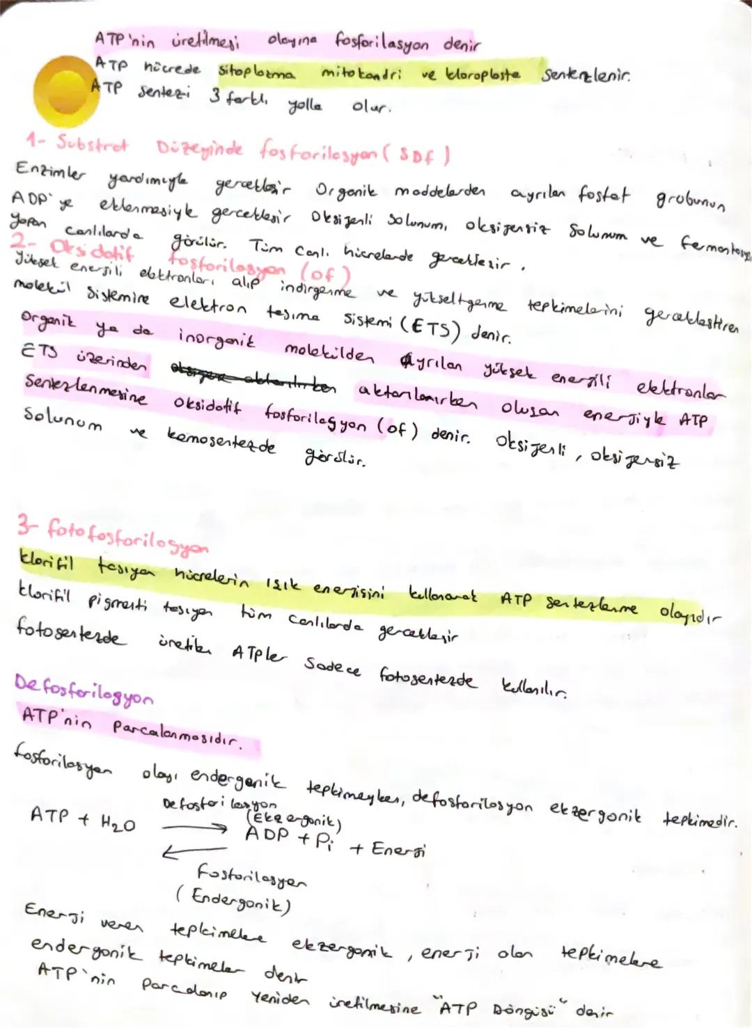 Energinin
Temel Molekiti ATP
Canli hücrelerde gerceklagen biyokimyasal tepkimele in
Hicredeki metabolik faaliyetler için
tumire
metabolizma
