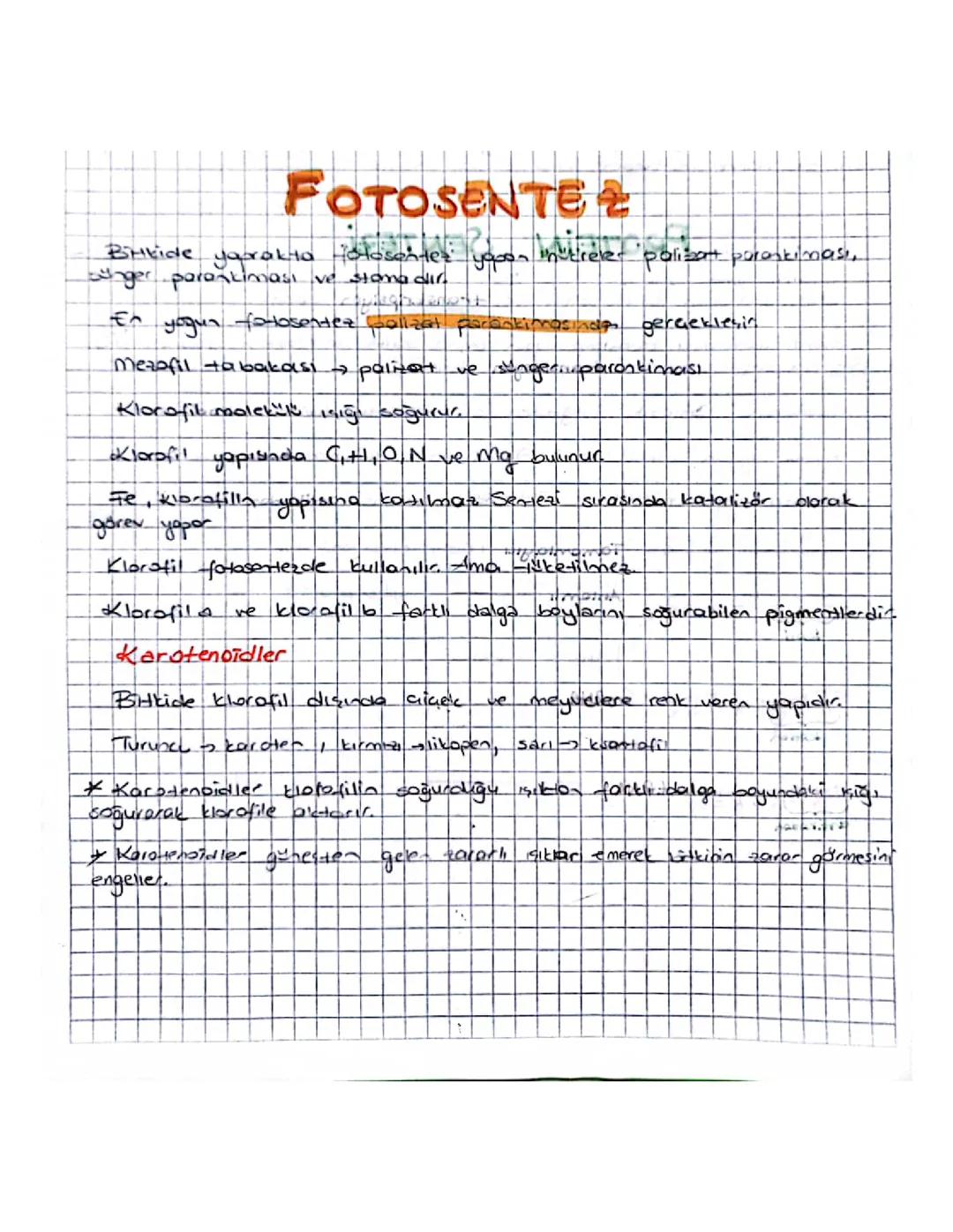 12. sınıf FOTOSENTEZ VE KEMOSENTEZ EL YAZISI not
