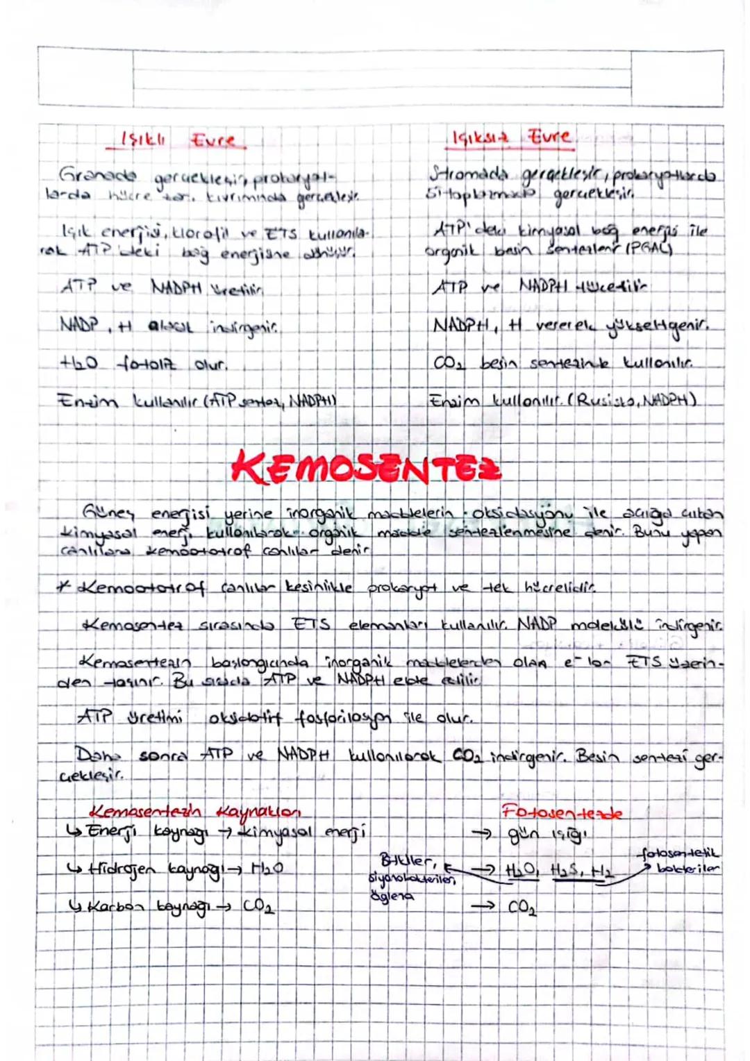 FOTOSENTE
Biikide yarakta fotosentez yapon
singer parankiması ve stoma dir.
"palizat parenkimasi,
€ yogun fotosentez palizat parankingsına g