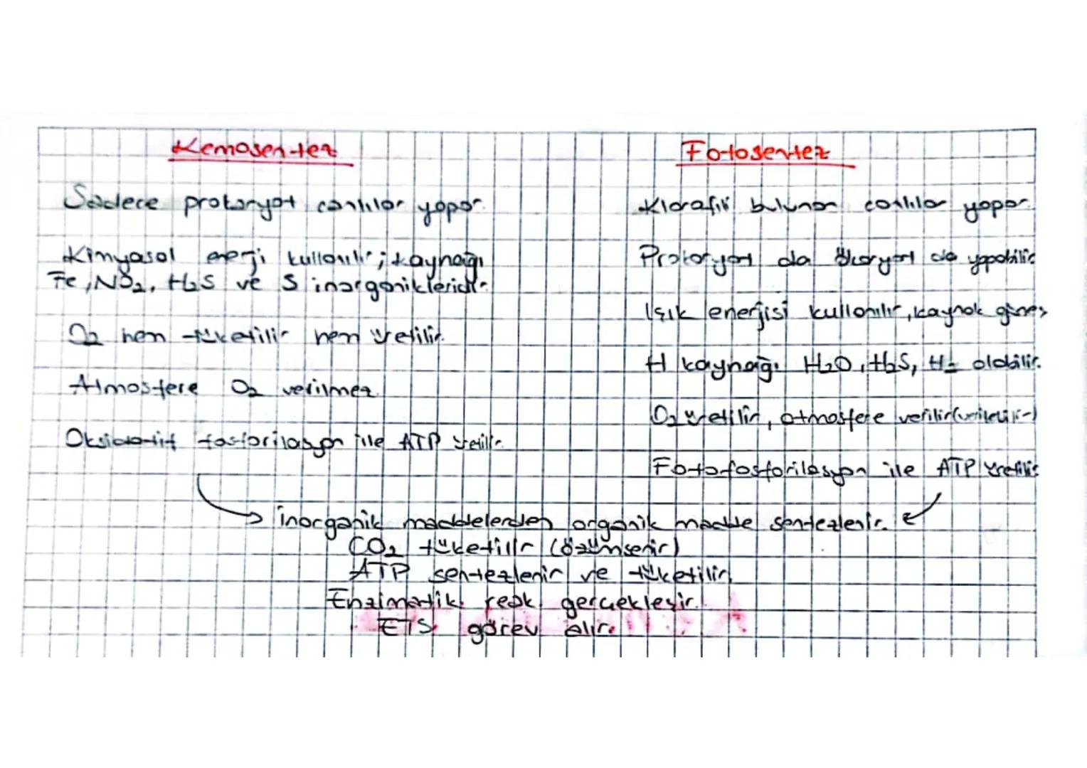 FOTOSENTE
Biikide yarakta fotosentez yapon
singer parankiması ve stoma dir.
"palizat parenkimasi,
€ yogun fotosentez palizat parankingsına g