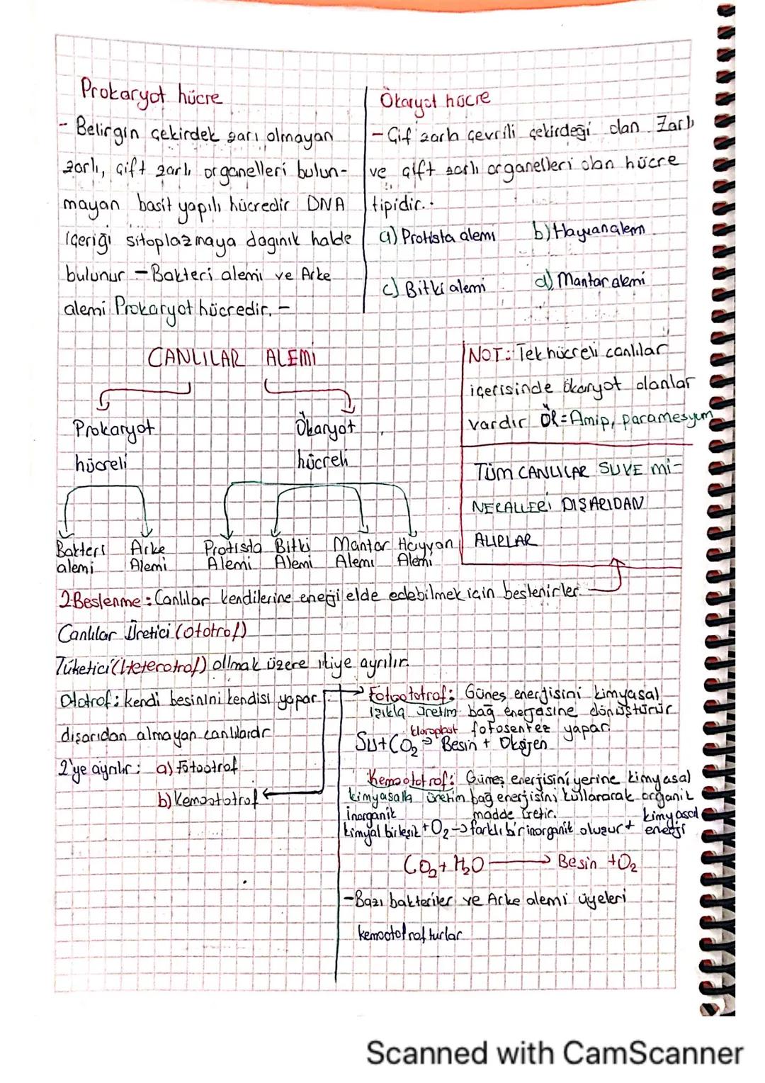 Prokaryot hücre
- Belirgin çekirdek garı olmayan
20rli, Gift zarl, organelleri bulun-
mayan
basit
yapıl
hücredir DNA
Içeriği sitoplazmaya da