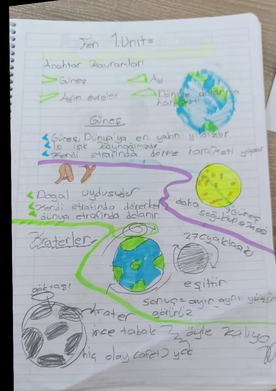 Fen Bilimleri 5. Sınıf 1. Ünite Ders Notları ve Özetler