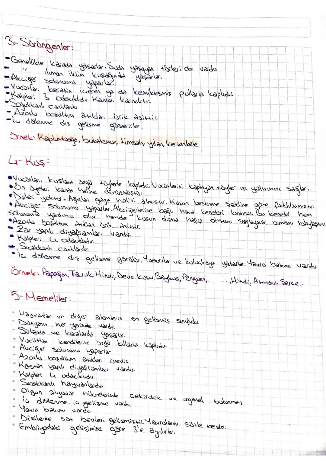 Omurgal Hayvanlar
-Embriyonik dönemde notokardlan vardır. Notokord daha sonra omurga halini alv.
-Sinir stendi sirt bölgesinden geçer
-Kemik