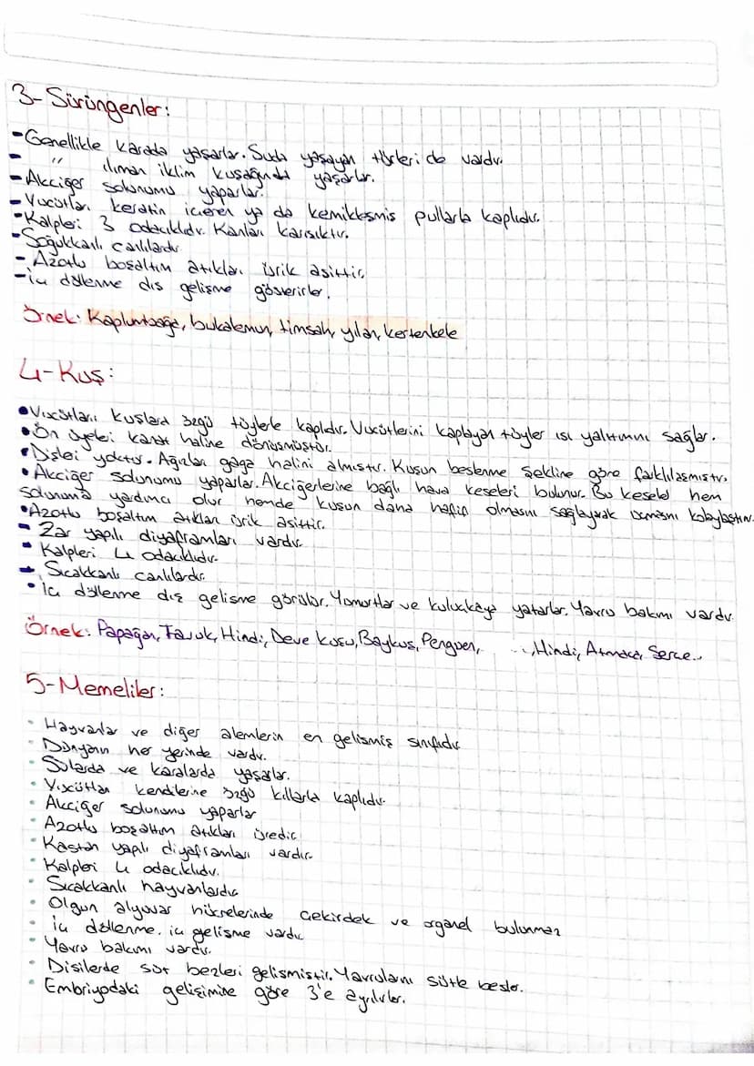 Omurgal Hayvanlar
-Embriyonik dönemde notokardlan vardır. Notokord daha sonra omurga halini alv.
-Sinir stendi sirt bölgesinden geçer
-Kemik