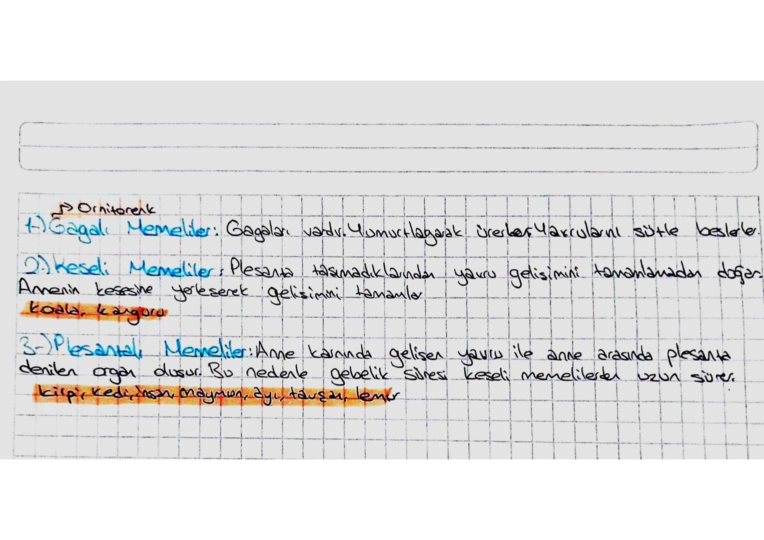 Omurgal Hayvanlar
-Embriyonik dönemde notokardlan vardır. Notokord daha sonra omurga halini alv.
-Sinir stendi sirt bölgesinden geçer
-Kemik